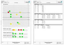 X Pedpro Example Report